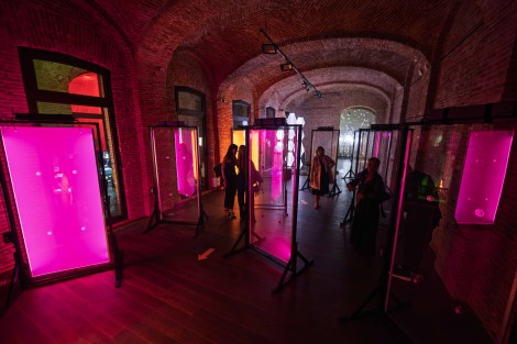 Daniel Robert Dinu — Radar 2026 in Bucharest, September 28, 2026 on Gigxels