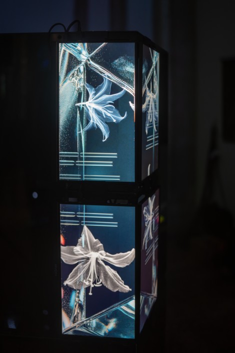 Radar New Media Art Festival in Bucharest on october 2025
