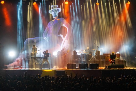 Suede in Mogosoaia on september 2022