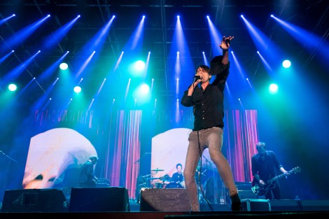 Suede in Mogosoaia on september 2022