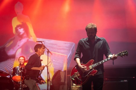 Suede in Mogosoaia on september 2022