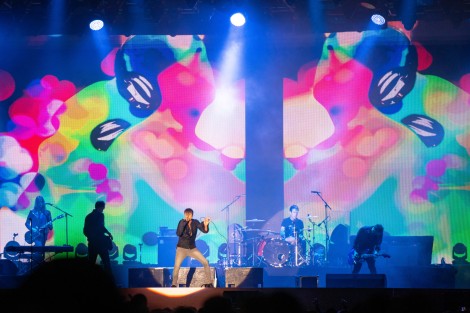 Suede in Mogosoaia on september 2022