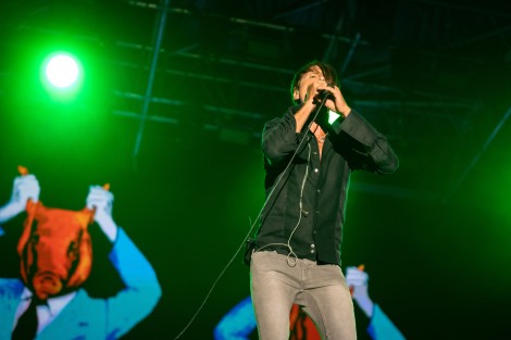 Suede in Mogosoaia on september 2022
