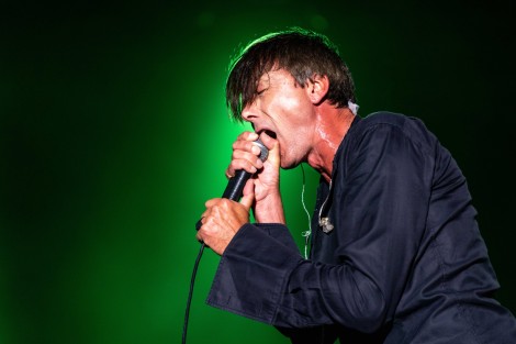 Suede in Mogosoaia on september 2022