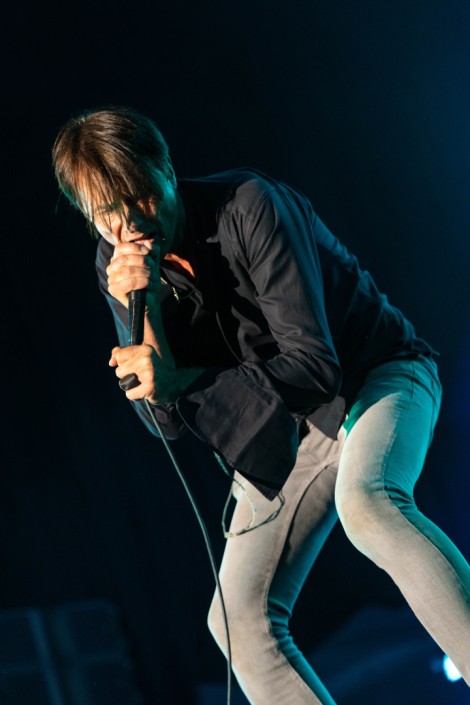 Suede in Mogosoaia on september 2022