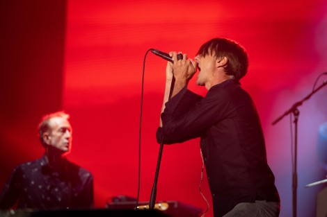 Suede in Mogosoaia on september 2022