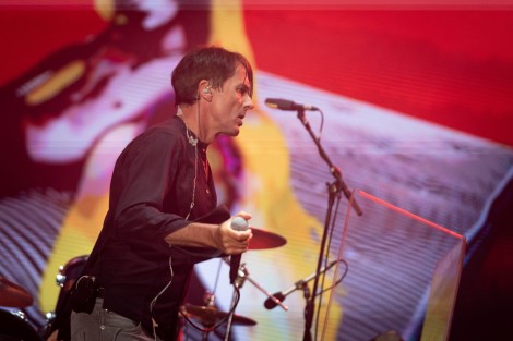 Suede in Mogosoaia on september 2022