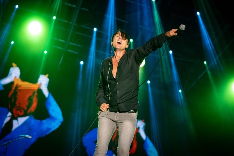 Suede in Mogosoaia on september 2022