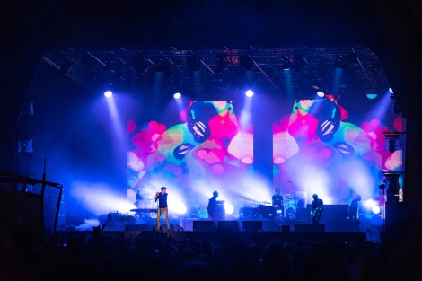 Suede in Mogosoaia on september 2022