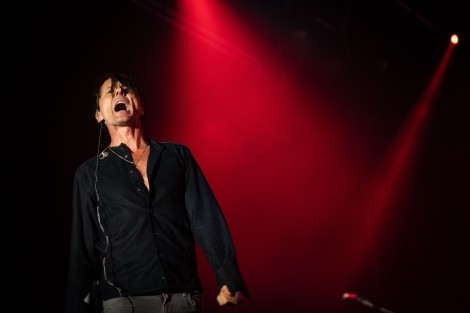 Suede in Mogosoaia on september 2022