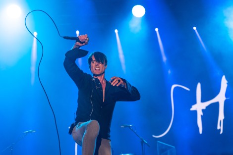 Suede in Mogosoaia on september 2022