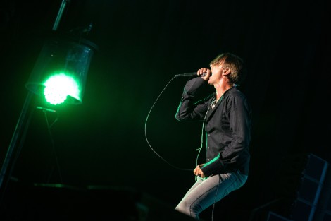 Suede in Mogosoaia on september 2022