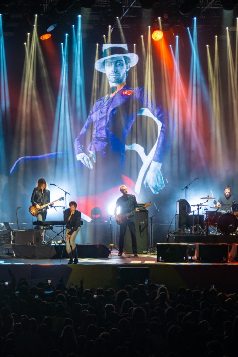 Suede in Mogosoaia on september 2022