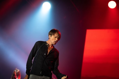 Suede in Mogosoaia on september 2022