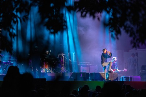 Suede in Mogosoaia on september 2022
