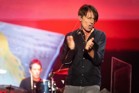 Suede in Mogosoaia on september 2022