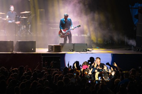 Suede in Mogosoaia on september 2022