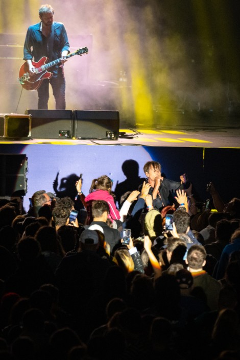 Suede in Mogosoaia on september 2022