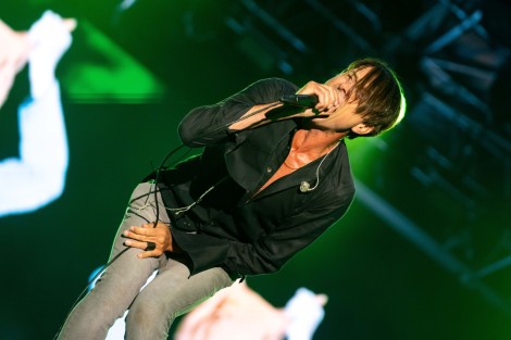 Suede in Mogosoaia on september 2022