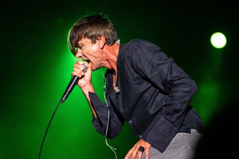Suede in Mogosoaia on september 2022