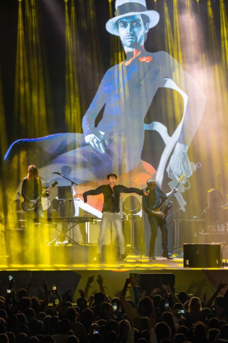 Suede in Mogosoaia on september 2022