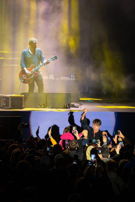 Suede in Mogosoaia on september 2022