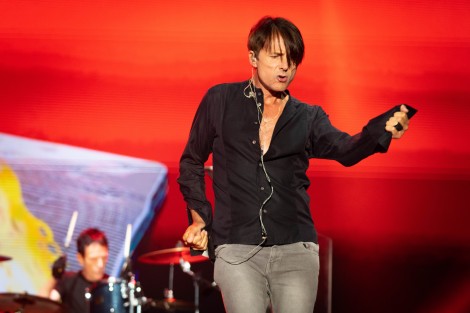 Suede in Mogosoaia on september 2022