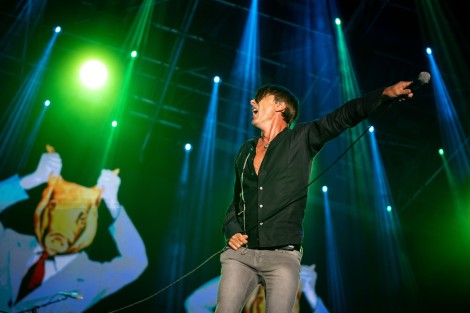 Suede in Mogosoaia on september 2022