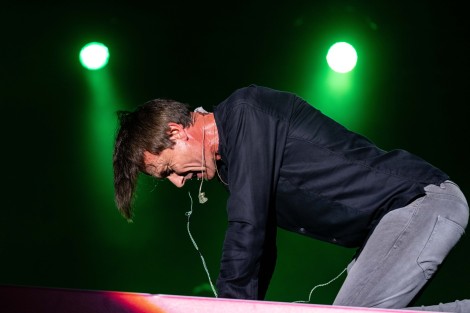 Suede in Mogosoaia on september 2022