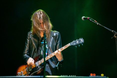 Suede in Mogosoaia on september 2022