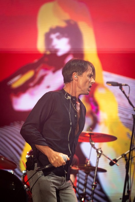 Suede in Mogosoaia on september 2022