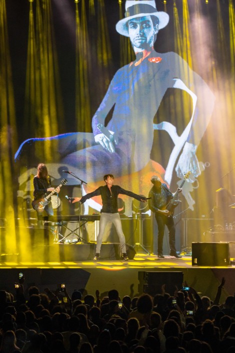 Suede in Mogosoaia on september 2022