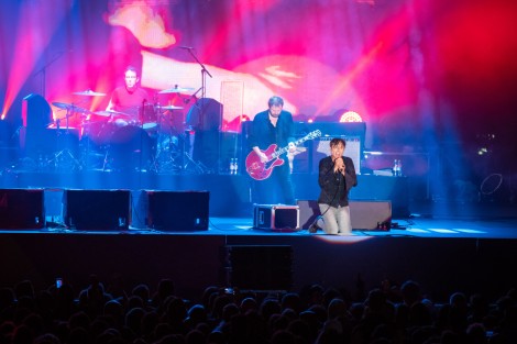 Suede in Mogosoaia on september 2022