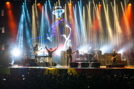 Suede in Mogosoaia on september 2022