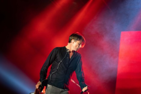 Suede in Mogosoaia on september 2022