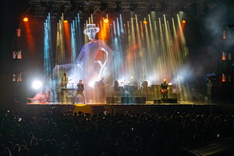 Suede in Mogosoaia on september 2022
