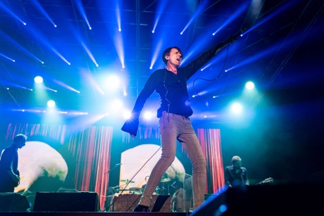 Suede in Mogosoaia on september 2022