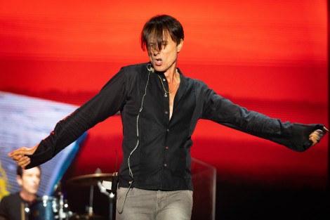Suede in Mogosoaia on september 2022