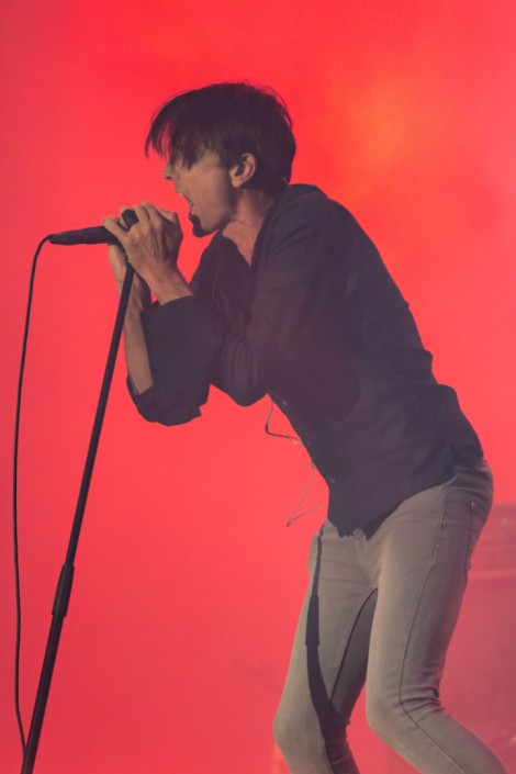 Suede in Mogosoaia on september 2022