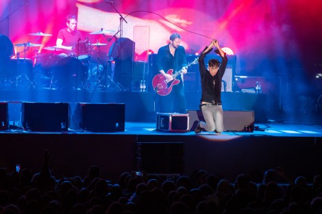 Suede in Mogosoaia on september 2022