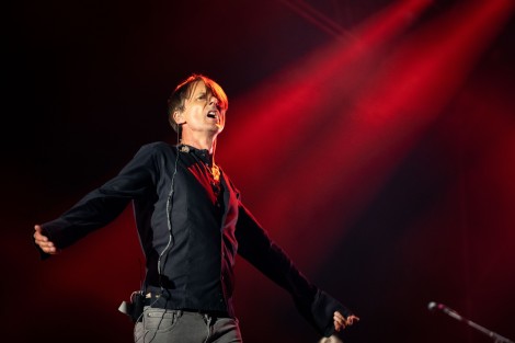 Suede in Mogosoaia on september 2022