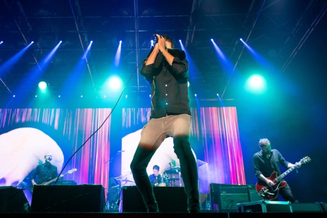 Suede in Mogosoaia on september 2022
