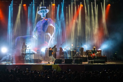 Suede in Mogosoaia on september 2022