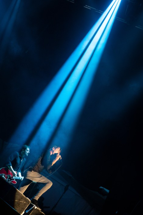 Suede in Mogosoaia on september 2022