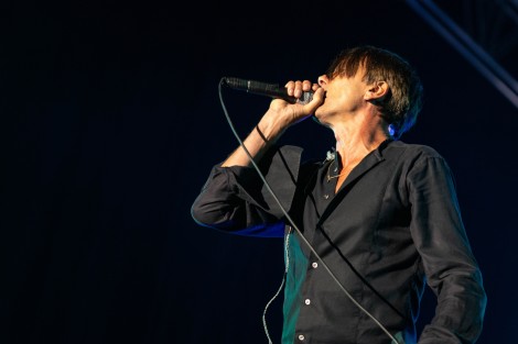 Suede in Mogosoaia on september 2022