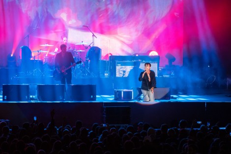 Suede in Mogosoaia on september 2022