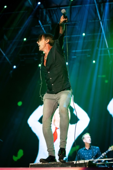 Suede in Mogosoaia on september 2022