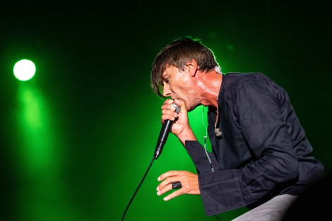 Suede in Mogosoaia on september 2022