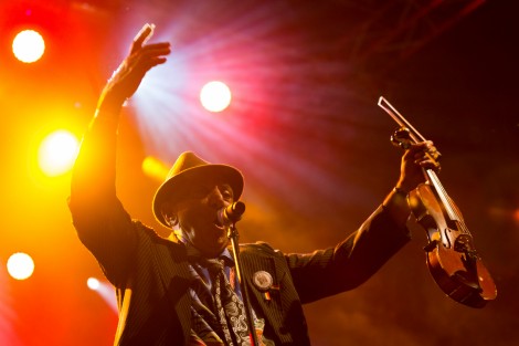 Taraf De Haidouks in Bucharest on september 2014