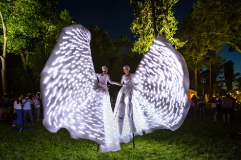 The Bright Butterflies in Mogosoaia on june 2014